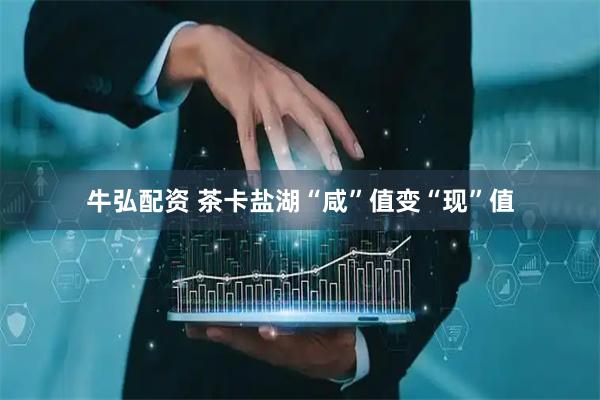 牛弘配资 茶卡盐湖“咸”值变“现”值