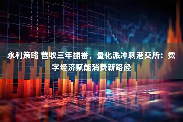 永利策略 营收三年翻番，量化派冲刺港交所：数字经济赋能消费新路径
