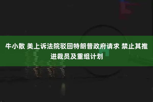 牛小散 美上诉法院驳回特朗普政府请求 禁止其推进裁员及重组计划