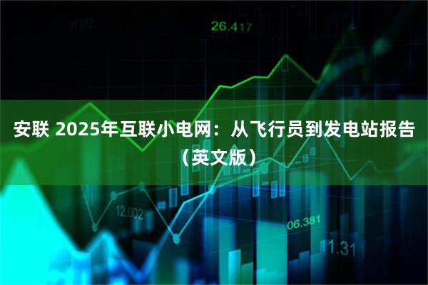 安联 2025年互联小电网：从飞行员到发电站报告（英文版）