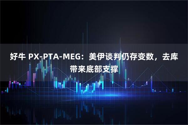 好牛 PX-PTA-MEG：美伊谈判仍存变数，去库带来底部支撑